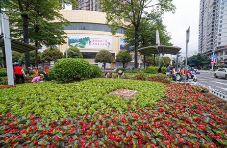 時(shí)花裝點(diǎn)道路