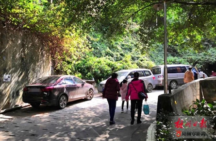 車輛亂?，F(xiàn)象死灰復(fù)燃
