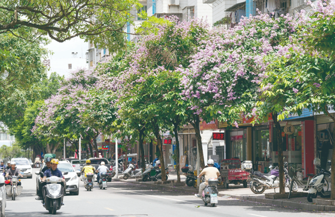 滿樹繁花